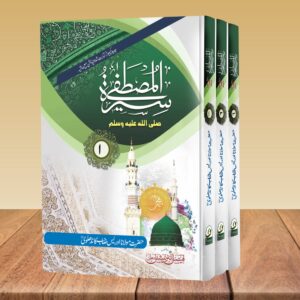 Seerat-E-Mustufha 3vol