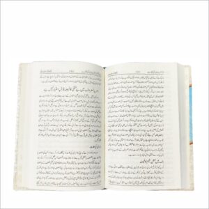 Deen Ka Tasawwur - Image 2