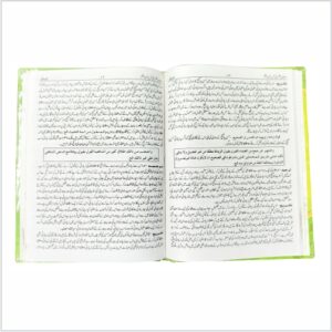 Amaniun Nazar Sharah Urdu Nukhbatul Fikr - Image 3