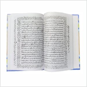 Meer Qutbee - Image 3